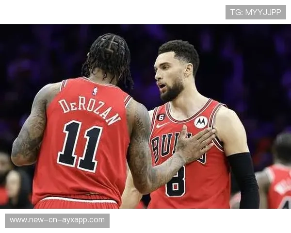 公牛队迎来关键战,拼搏到底,公牛队官方网站